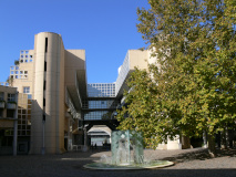 SiteMonod_CBernon_01_Vignette.jpg
